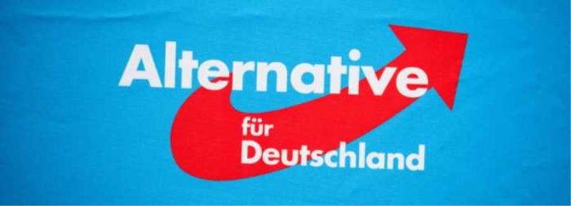 Bundesverfassungsgericht weist neuen AfD-Eilantrag zu Stiftungsgeldern ab