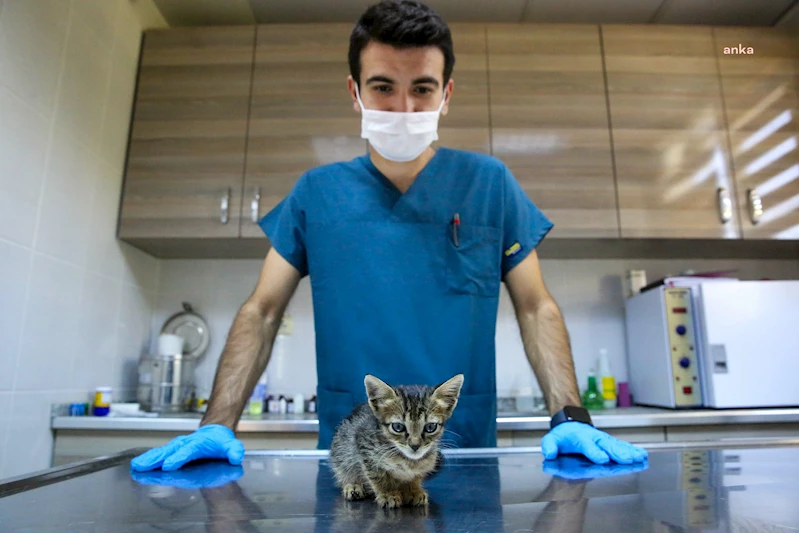 BUCA’DA CAN DOSTLARI İÇİN SEFERBERLİK BAŞLATILDI