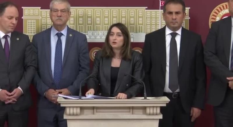 AYSU BANKOĞLU, TBMM AMASYA MADEN KAZASI ARAŞTIRMA KOMİSYONU