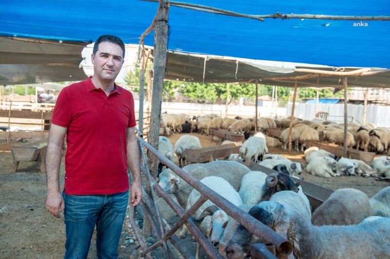 SEYHAN BELEDİYESİ, KURBAN BAYRAMI HAZIRLIKLARI TAMAMLANDI