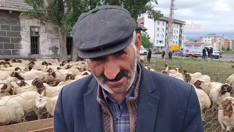 KARSLI KURBAN SATICISI: 