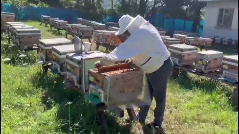 ERFELEK ZİRAAT ODASI BAŞKANI KOCA: 