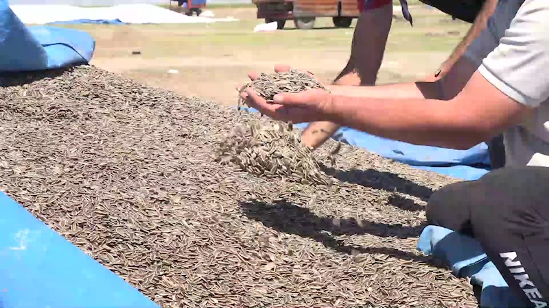 YEŞİLTEPE BELEDİYE MECLİSİ