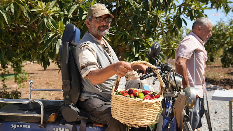 TARSUS BELEDİYESİ’NDEN “ENGELSİZ TARIM PROJESİ”… ENGELSİZ TARIM ALANI’NDA ENGELLİ VATANDAŞLARLA SEBZE HASADI YAPILDI