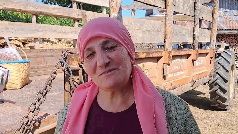 ARTVİN ARDANUÇTA ATIL KALAN TARIM ARAZİLERİ, KADINLAR TARAFINDAN İMECEYLE LAVANTA BAHÇELERİNE DÖNÜŞTÜRÜLÜYOR