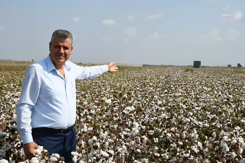 AYHAN BARUT’TAN PAMUK FİYATI TEPKİSİ: 