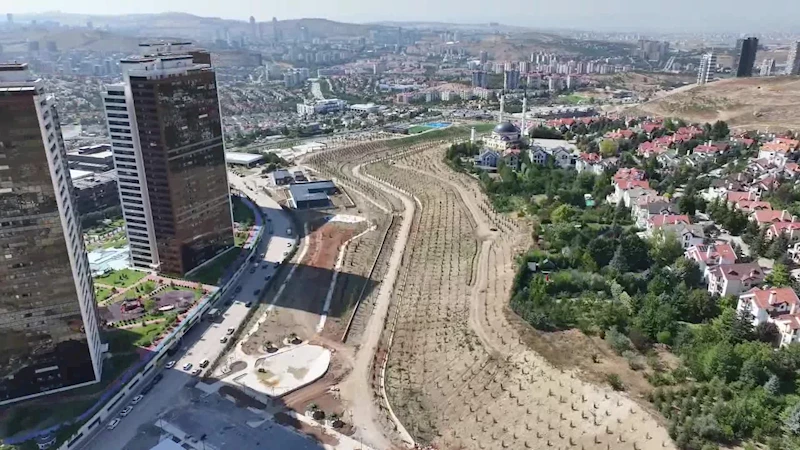 ANKARA BÜYÜKŞEHİR, 130 BİN METREKARELİK LODUMLU PARKI’NDA ÇALIŞMALARINI SÜRDÜRÜYOR