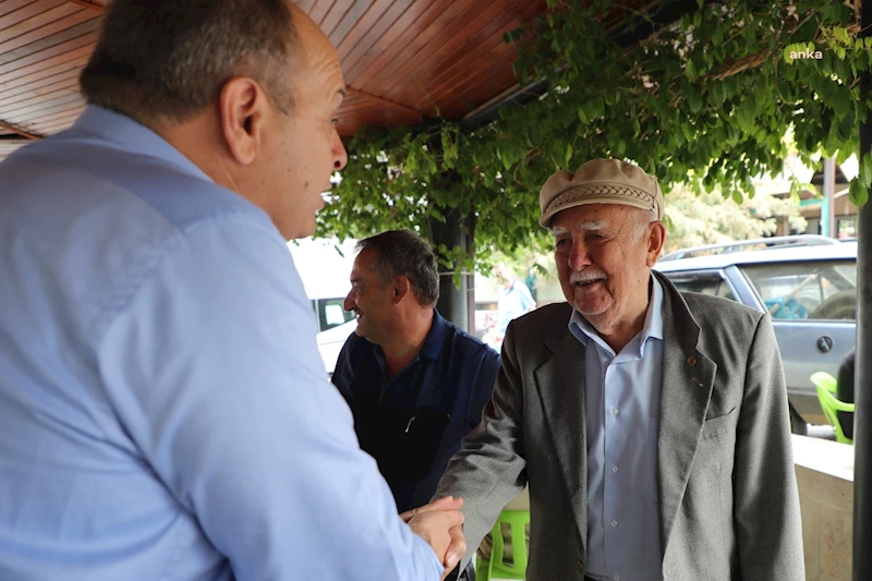 GEMLİK ZEYTİN FESTİVALİ