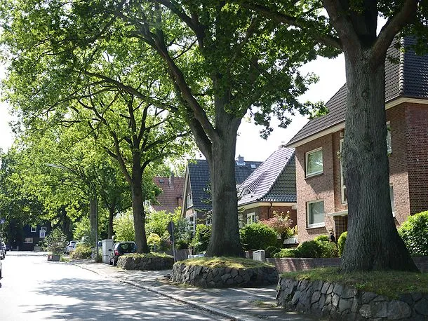 Hamburg, 2025 Avrupa’nın “Ağaçlar Şehri” Seçildi