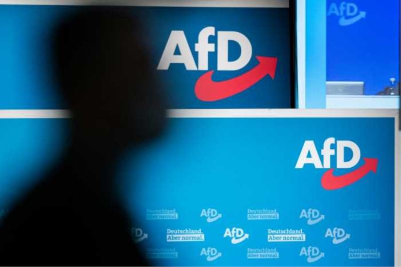 AfD beendet Bundesparteitag vorzeitig im Streit