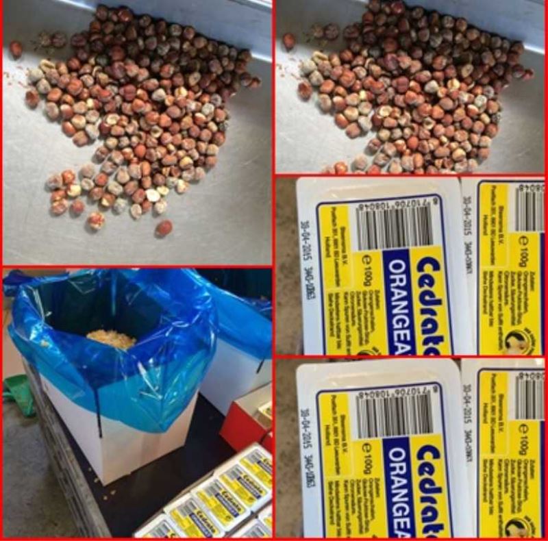 Almanya’da sağlık skandalı