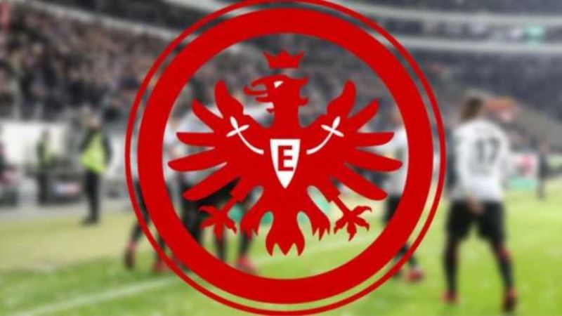Eintracht Frankfurt, AfD