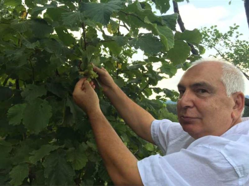 Gazi Dr. Derbeder  Almanya’da fındık yetiştiriyor