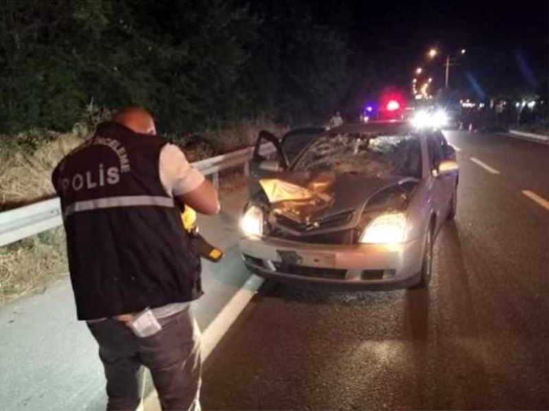 Gurbetçi kadın yolun karşısına geçmeye çalışırken kazada öldü