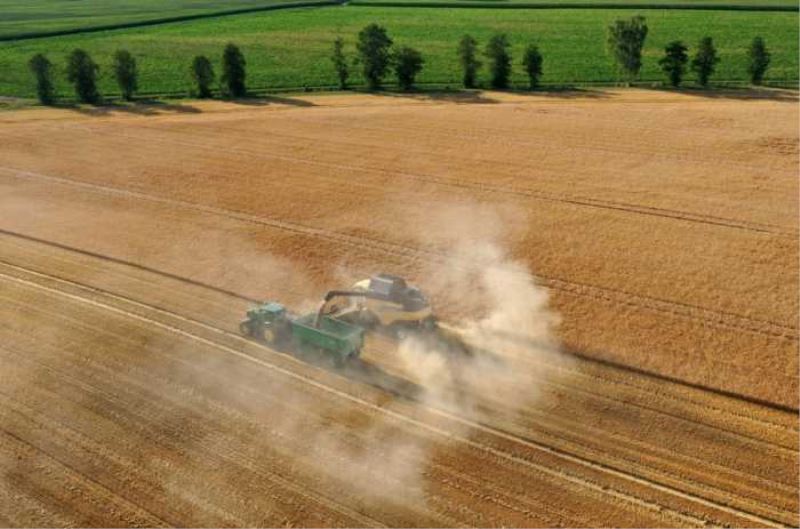 Özdemir will mit gelockerten Artenschutzvorgaben mehr Getreideanbau ermöglichen