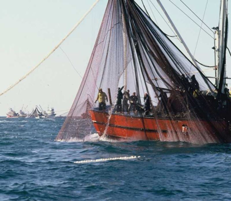 SU ÜRÜNLERİ ÜRETİMİ AZALDI